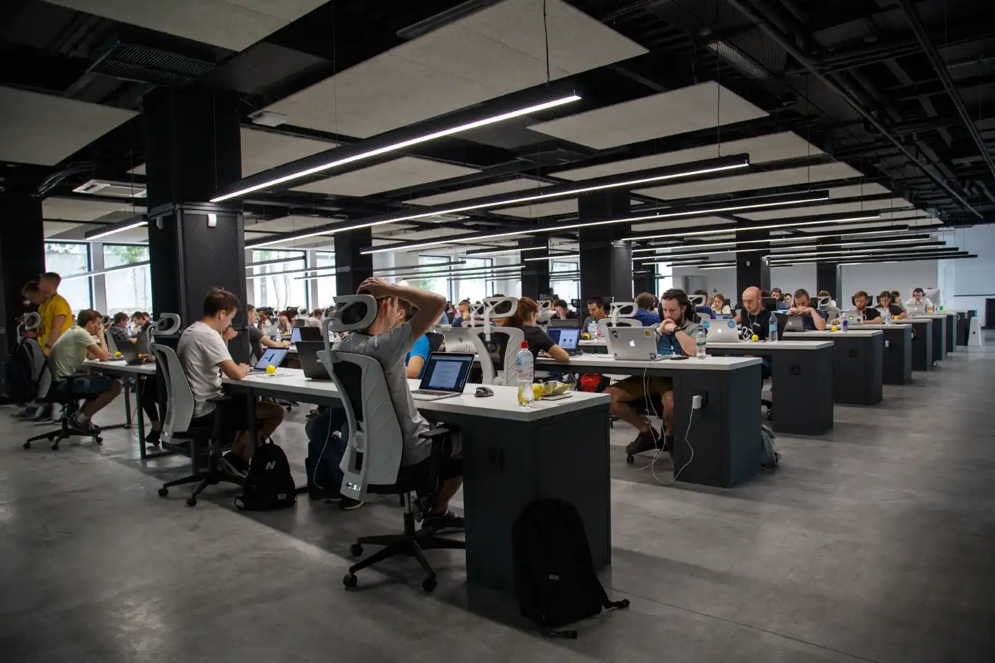 people-in-office-working