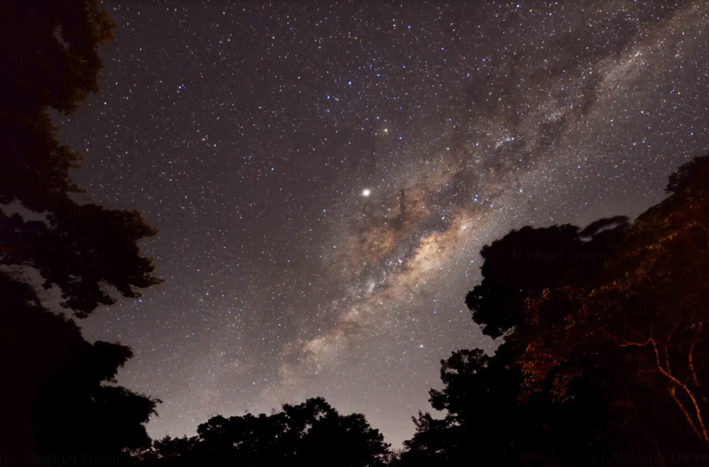 tree-and-stars