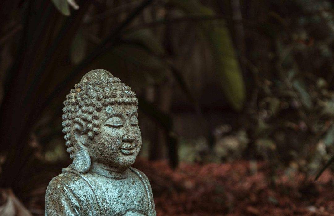 pexels-alteredsnaps-16014604-scaled-qisdd4iyfsl8gysieplh5fzkfvqjmzed4xke9iorx4 (1)