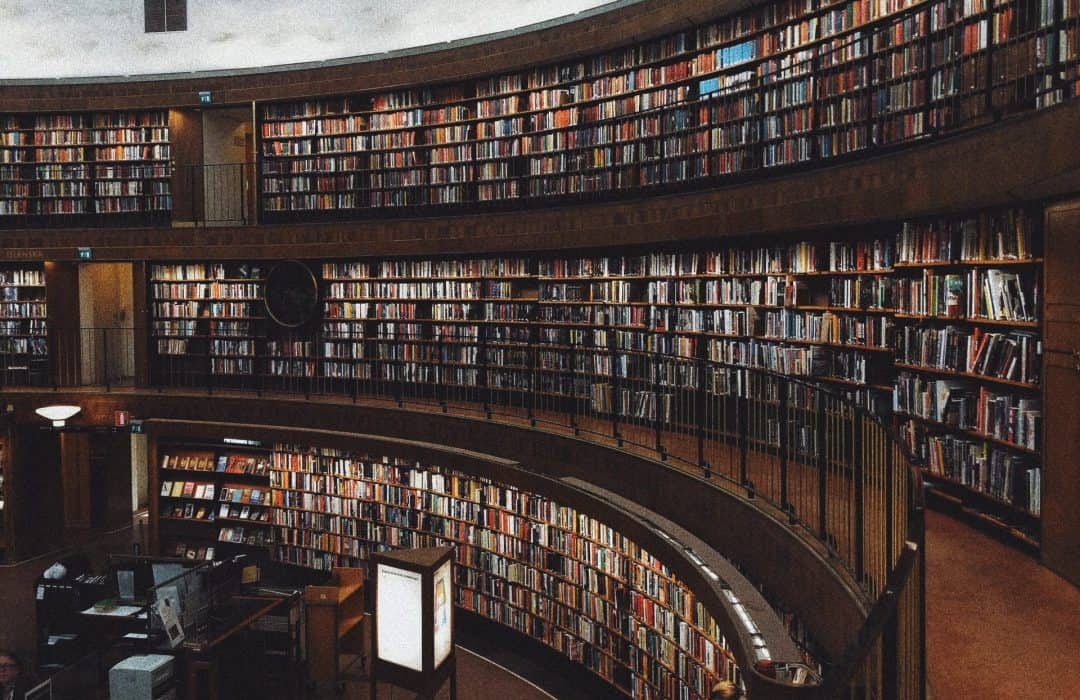 pexels-olena-bohovyk-3646172-scaled-qjqkwdulv07tcjcrmvcc5lgbxcw05vay0396emcvo8