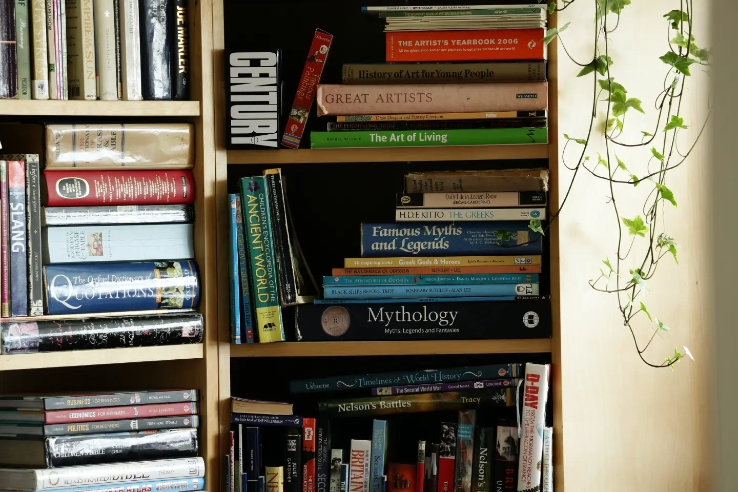 books-on-the-shelves