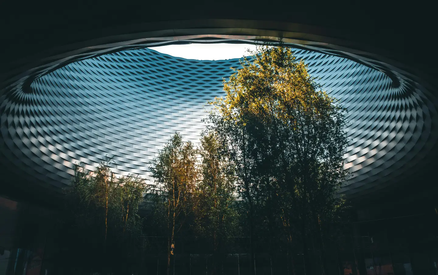 modern-roof-and-trees