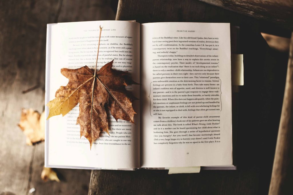 Literary Grants